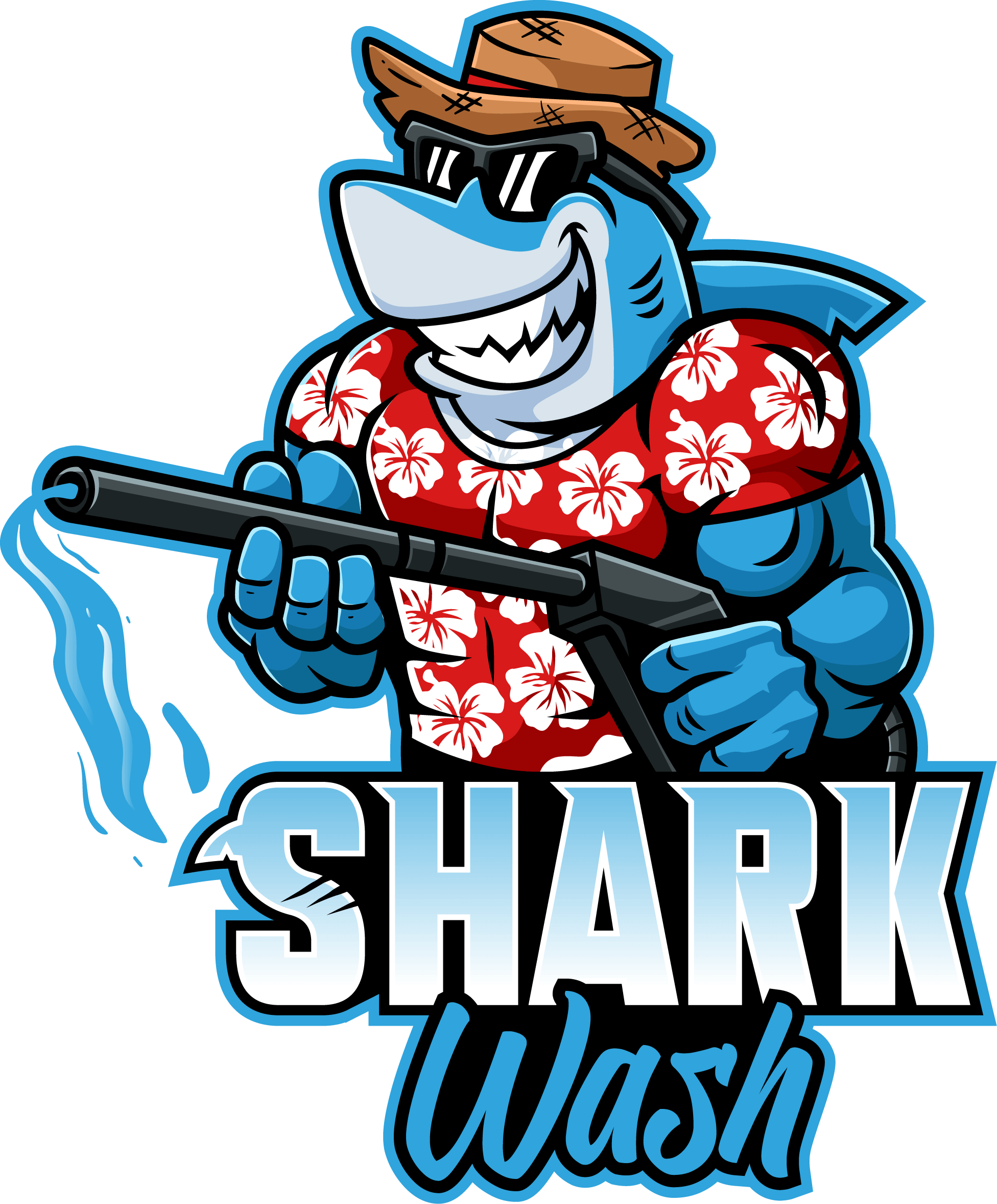 Pressure WashingAugusta, GA